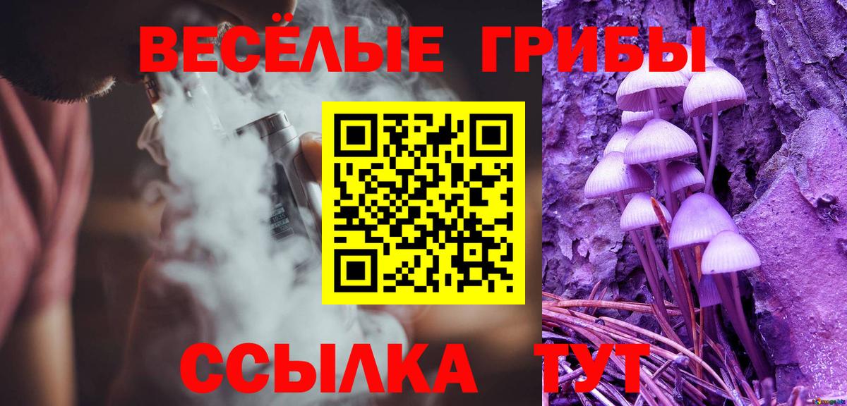 Псилоцибиновые грибы Psilocybe Казань